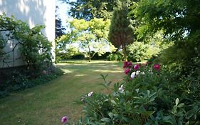 Tiendegaarden Møns Klint